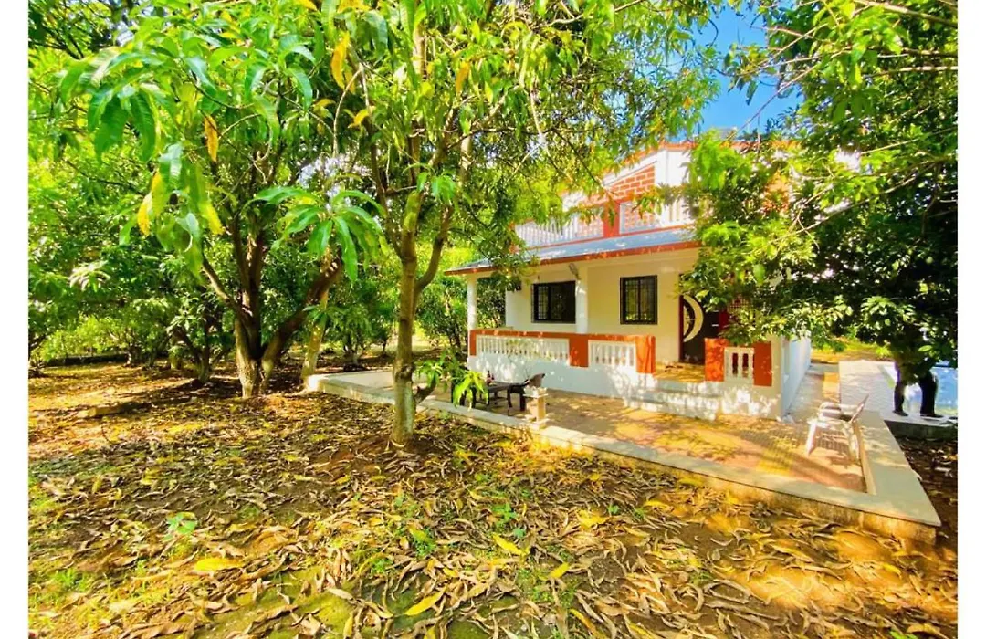 Villa Mango-1